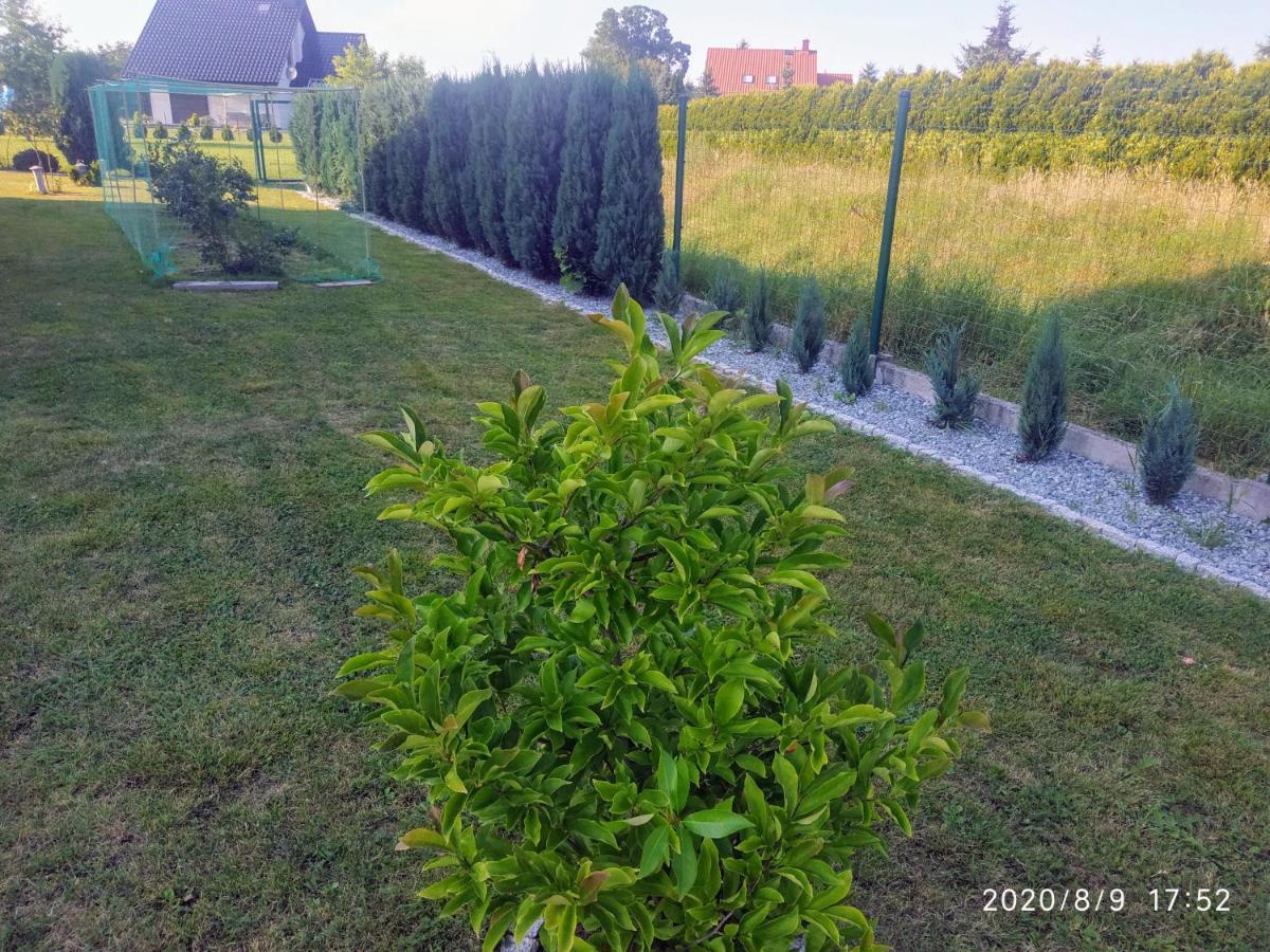 Gorskie Marzenie Przeciszow Luaran gambar